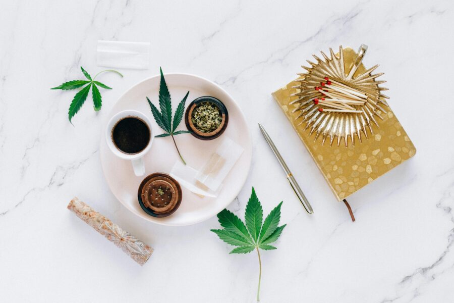 Top Cannabis Trends in Calgary for 2025: What to Expect from Dispensaries